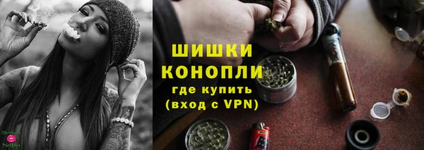 хмурый Няндома