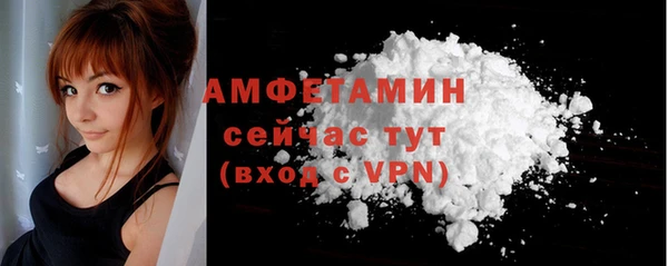хмурый Няндома