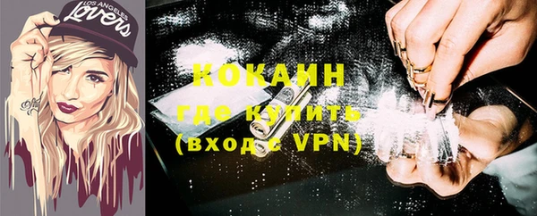 хмурый Няндома