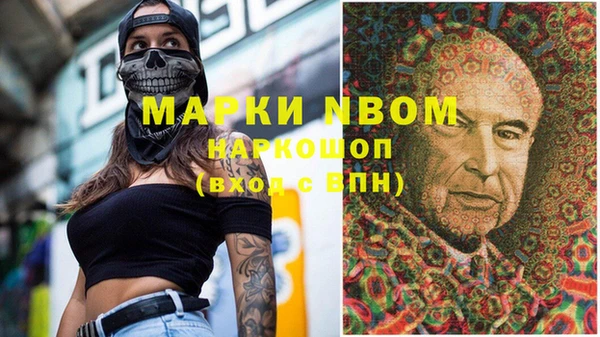 хмурый Няндома