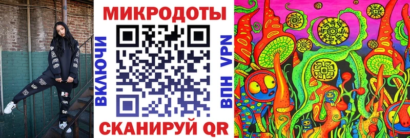 hydra ТОР  darknet клад  Псилоцибиновые грибы прущие грибы  сколько стоит  Туран 